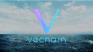 vechain