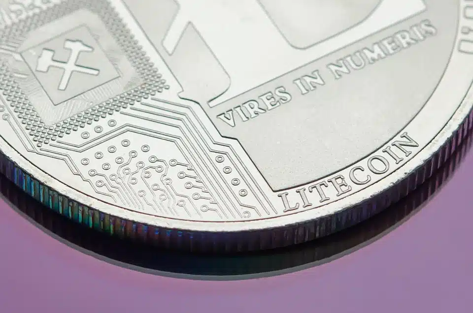 litecoin coin