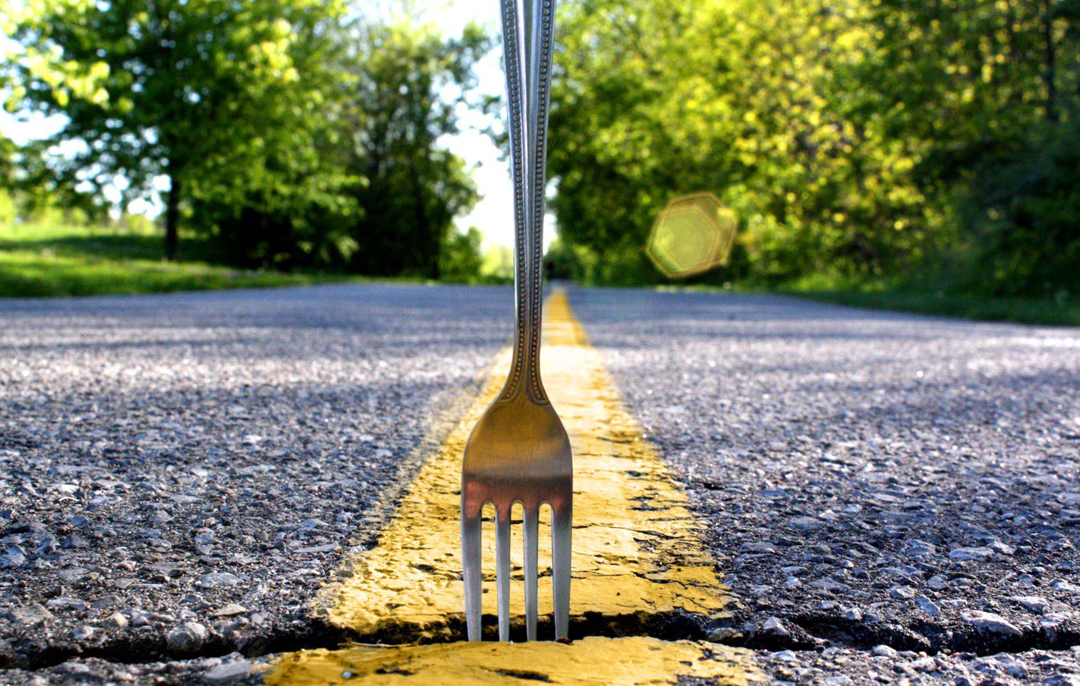 fork in the middle of the road hard fork event