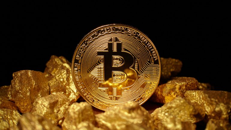 bitcoin owner net worth