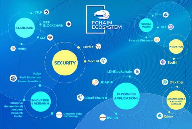 pchain ecosystem