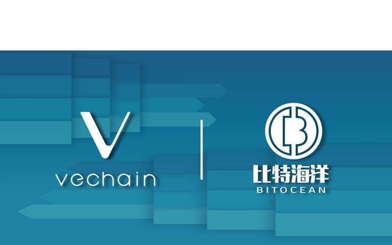 BitOcean