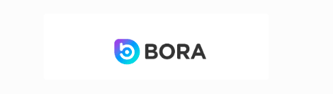 BORA coin logo