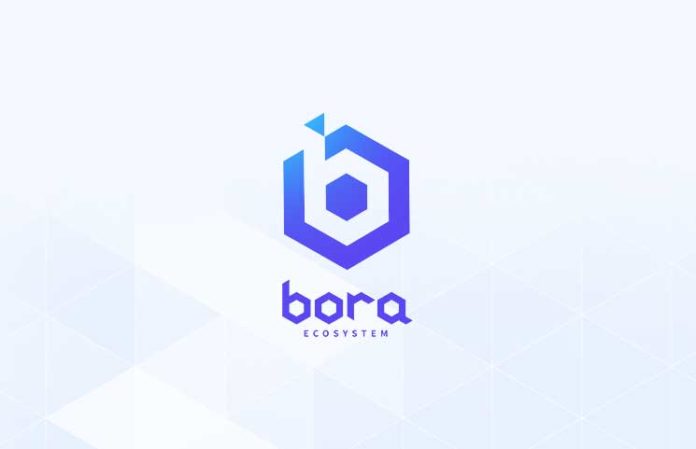 bora ecosystem