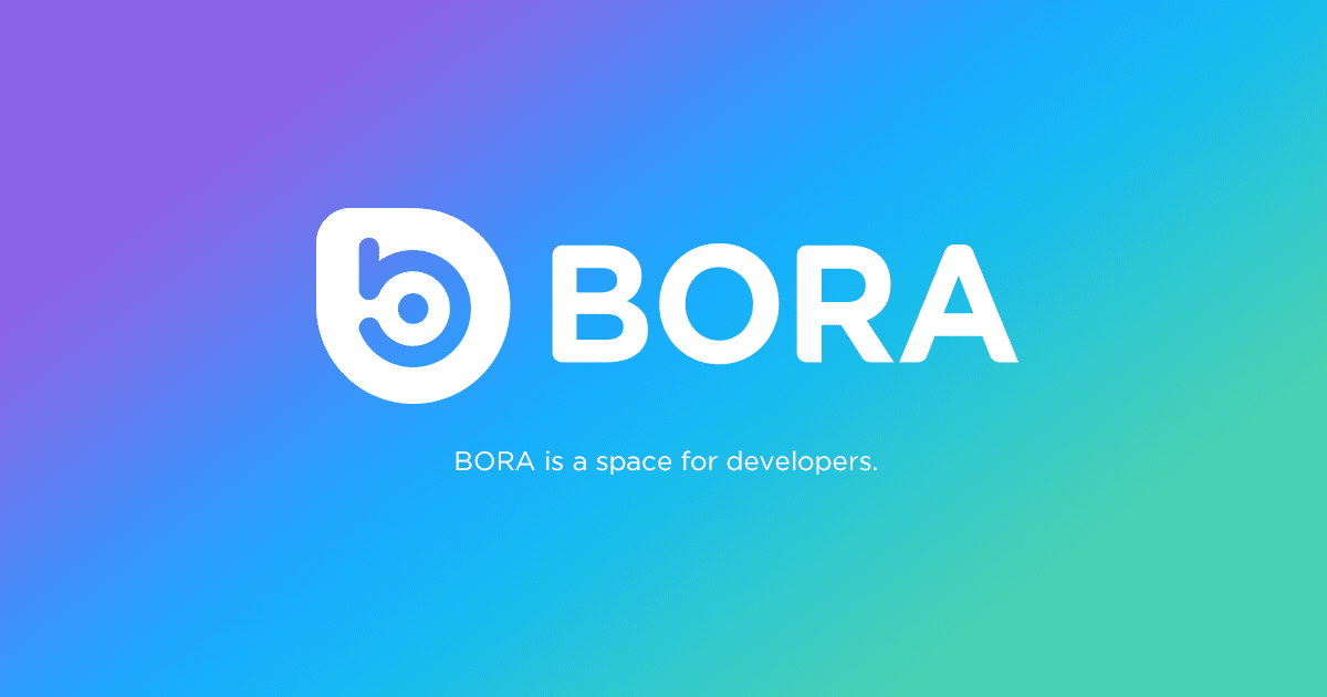 bora logo