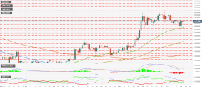 THE MACD on the daily chart continues