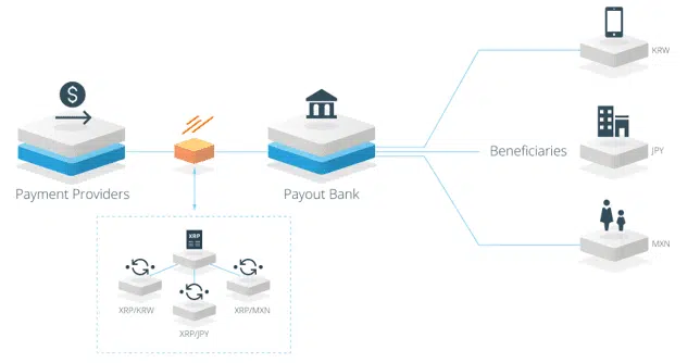 What Is Ripple (XRP) Cryptocurrency 1 https://usethebitcoin.com/wp-content/uploads/2019/08/Ripple.jpg UseTheBitcoin What is Ripple