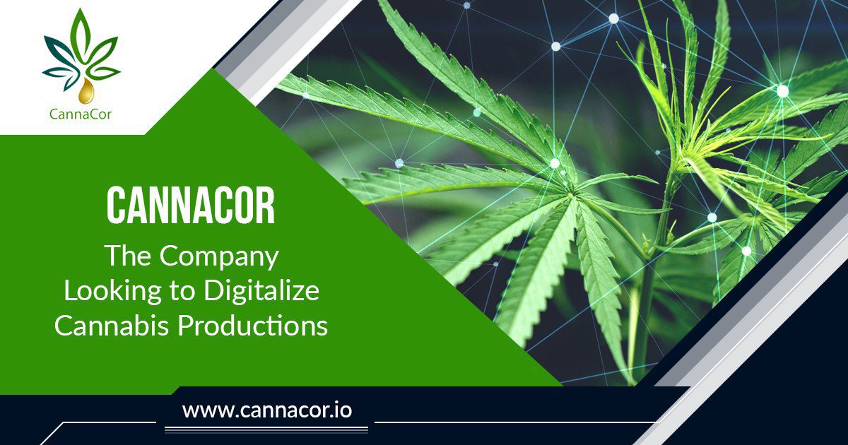cannacor digitalize cannabis productions