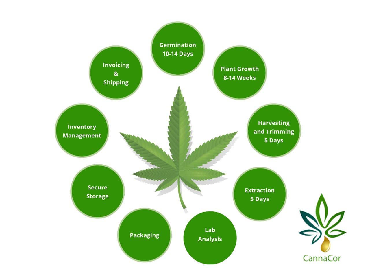CannaCor: The Company Looking To Digitalize Cannabis Productions 1 https://usethebitcoin.com/wp-content/uploads/2019/11/word-image-25.jpeg UseTheBitcoin word image 26