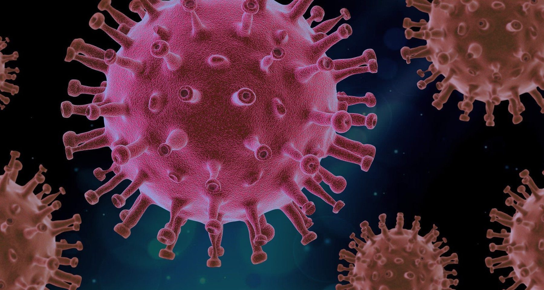 virus image