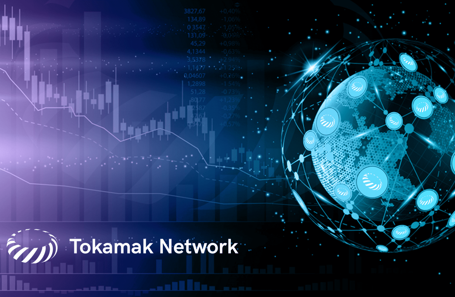 Tokamak Network Logo