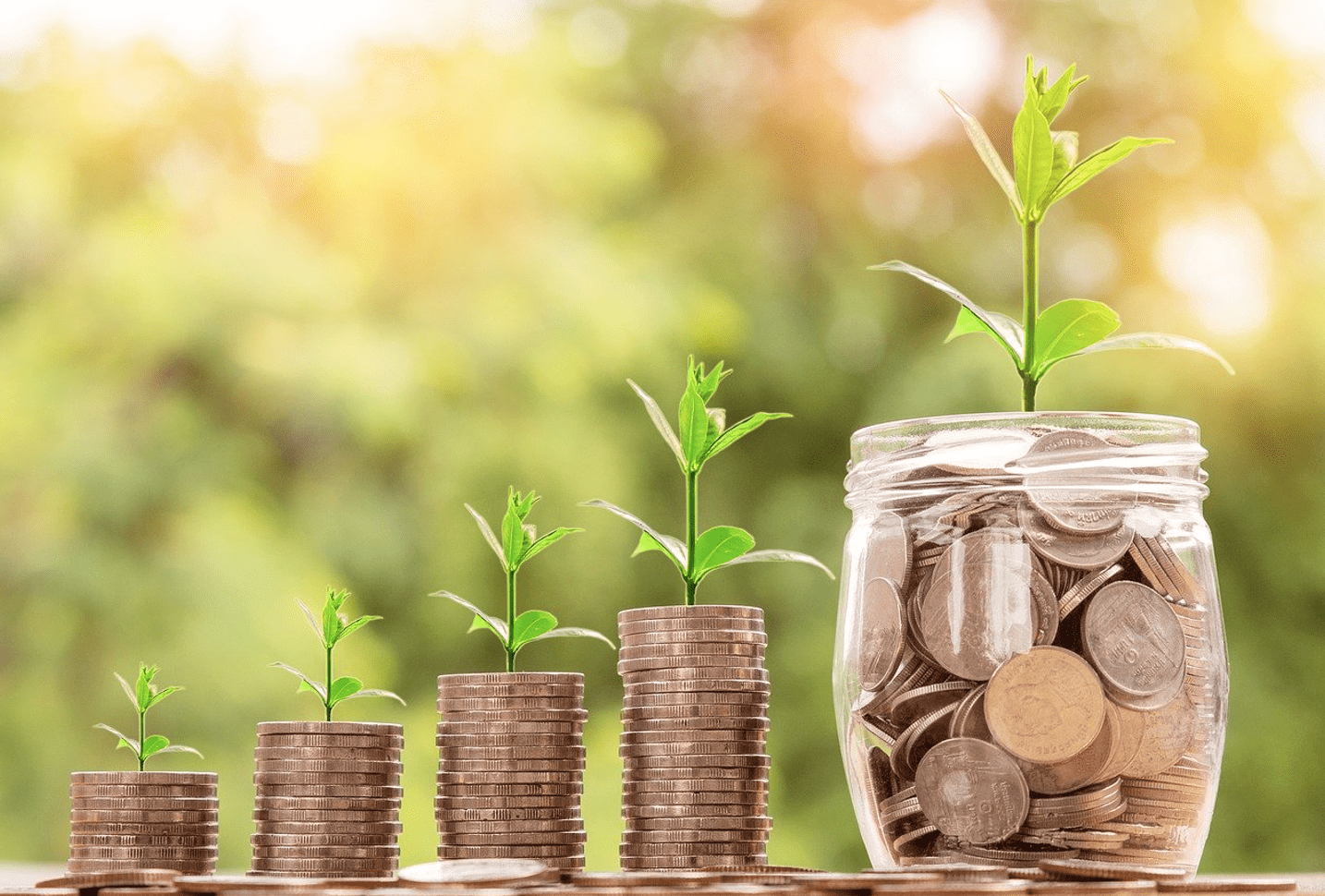 Crypto Portfolio for Beginners