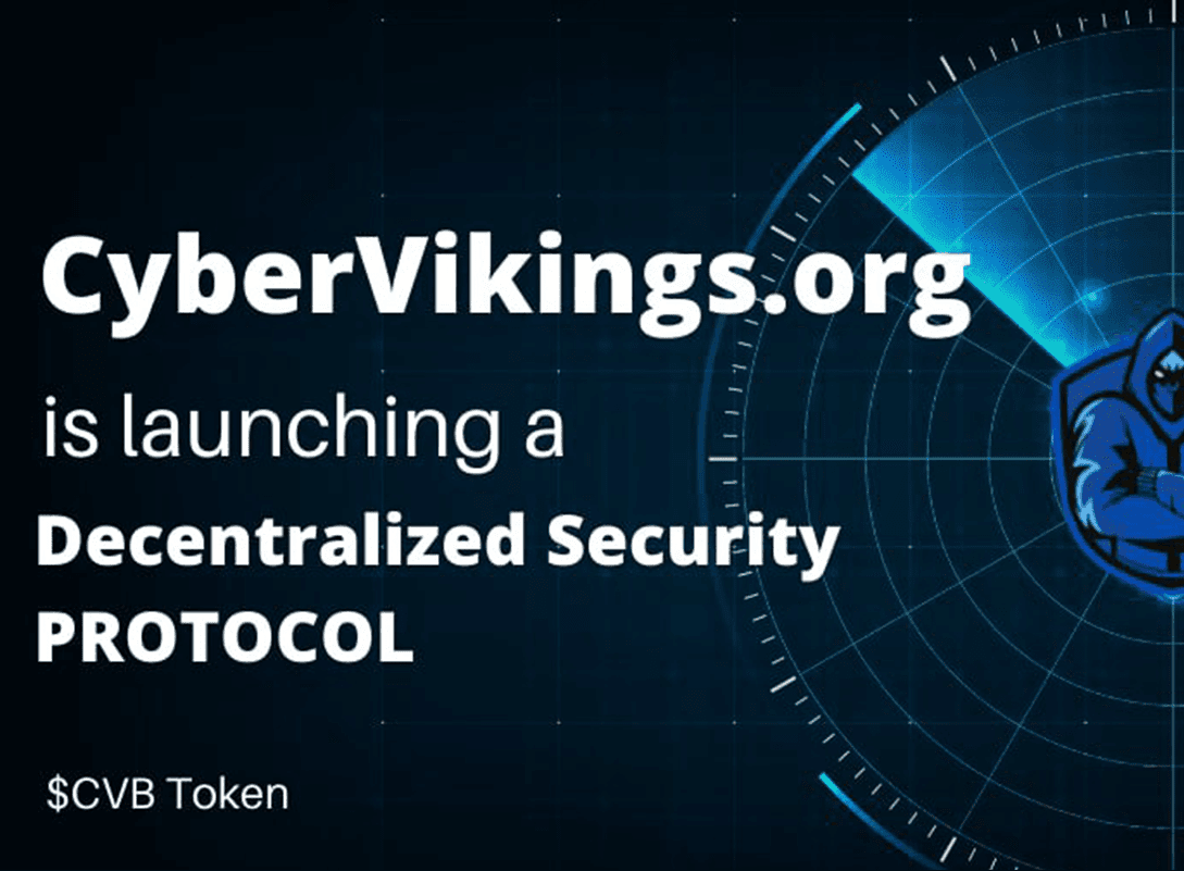 Cyber Vikings