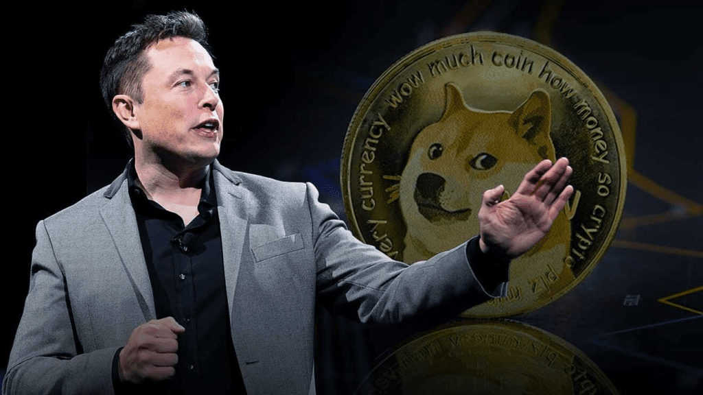 elon musk doge