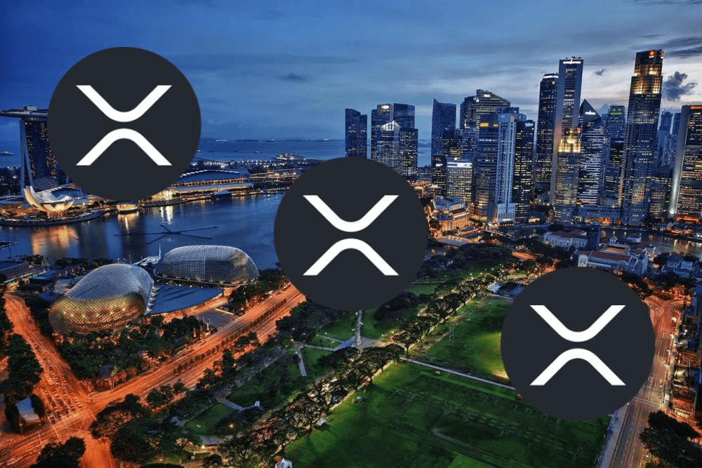 ripple singapore