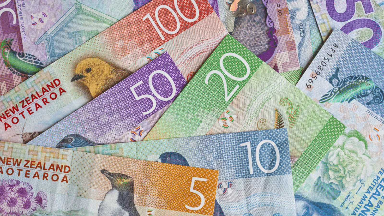 nzd