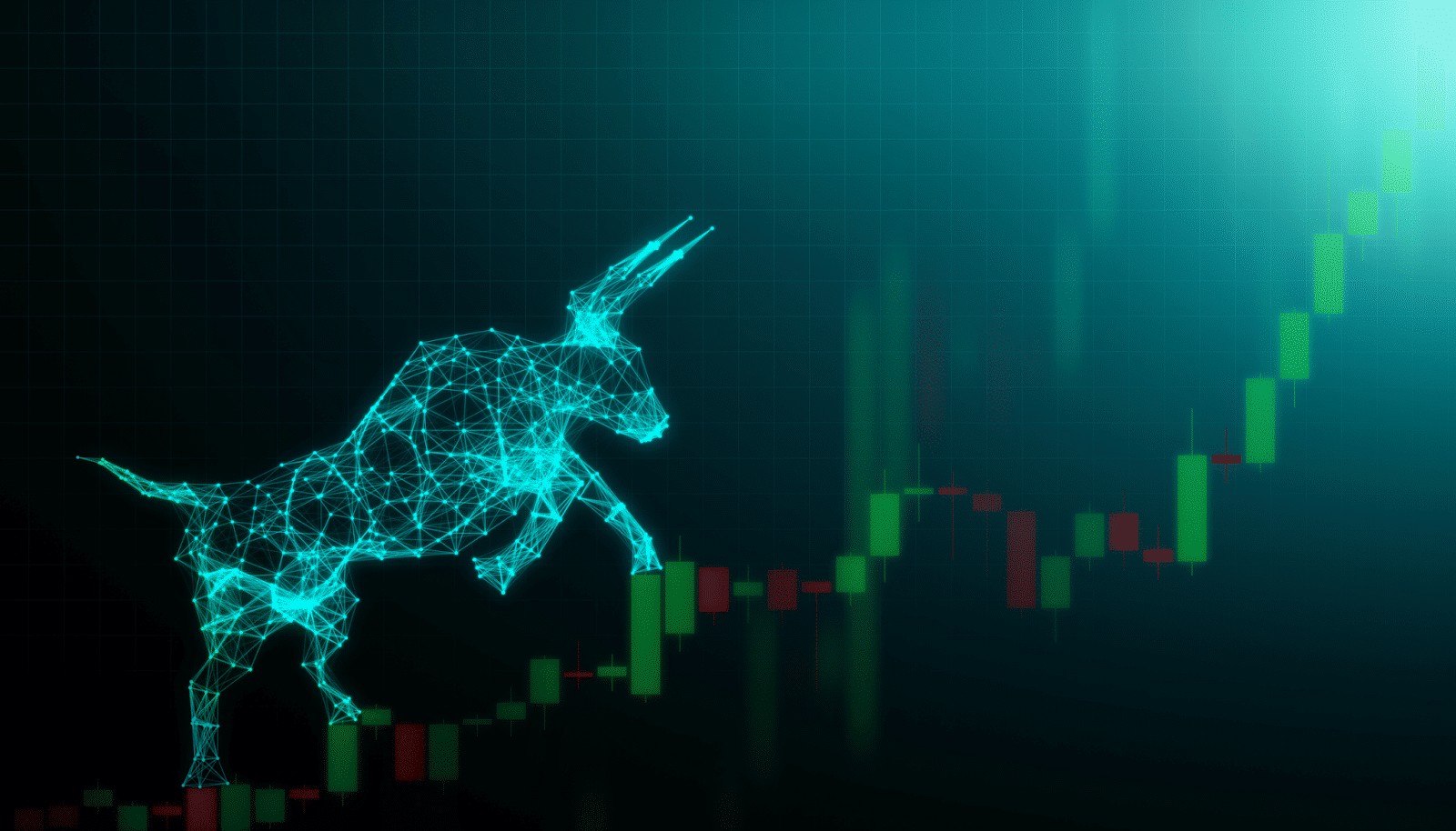 crypto bull