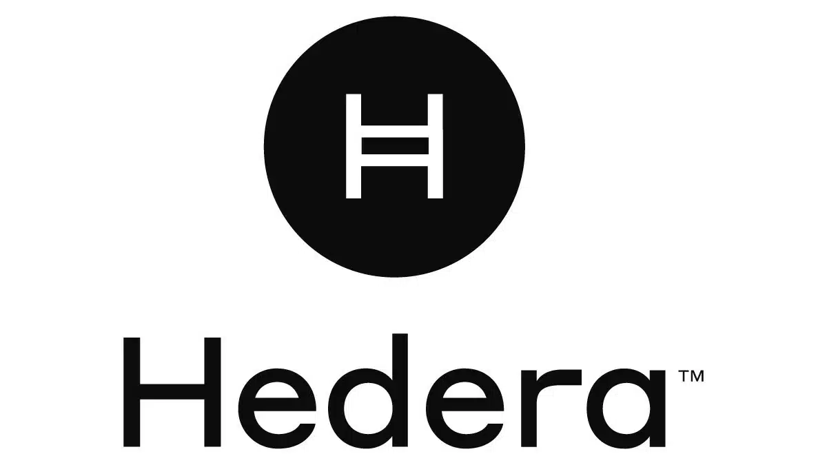 What Is HBAR And Should It Be in Your Crypto Portfolio?