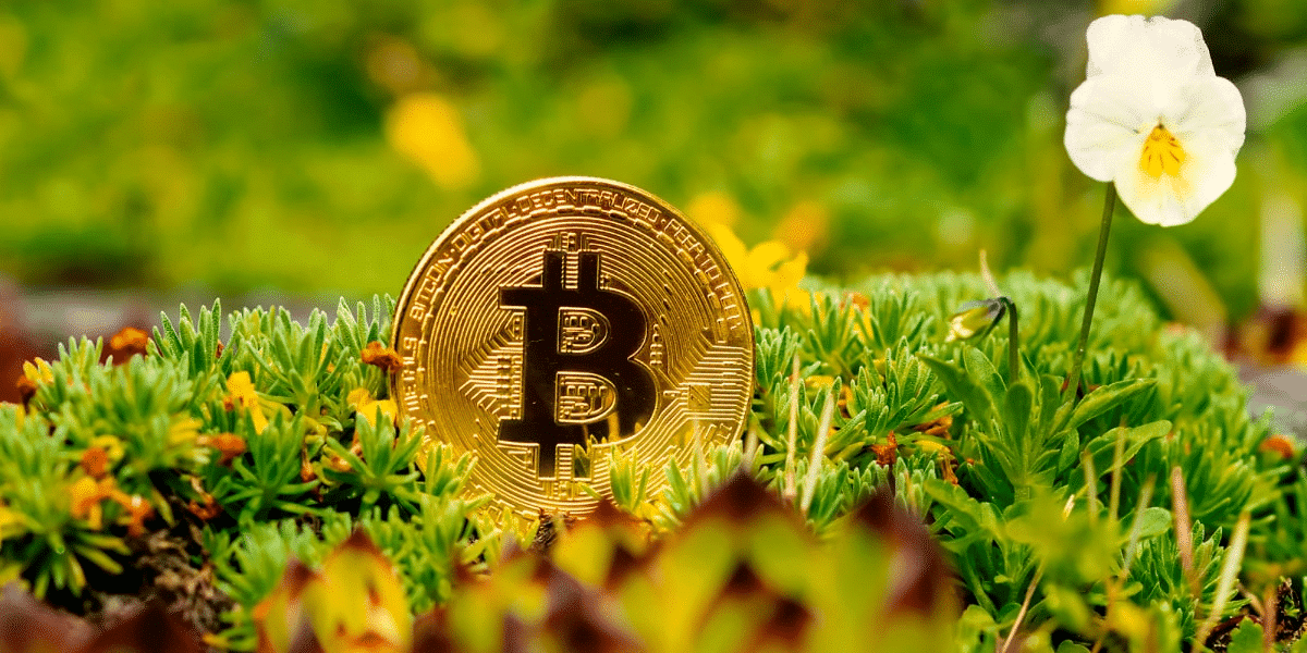 5 Reasons Why Corrupt Governments And Politicians Fear Bitcoin 5 https://usethebitcoin.com/wp-content/uploads/2024/03/money-under-the-table.png UseTheBitcoin image 17