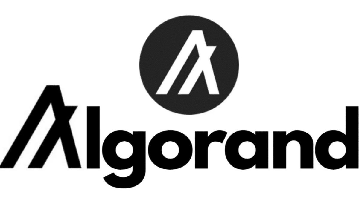 What Is Algorand (ALGO) And Should It Be In Your Crypto Portfolio?