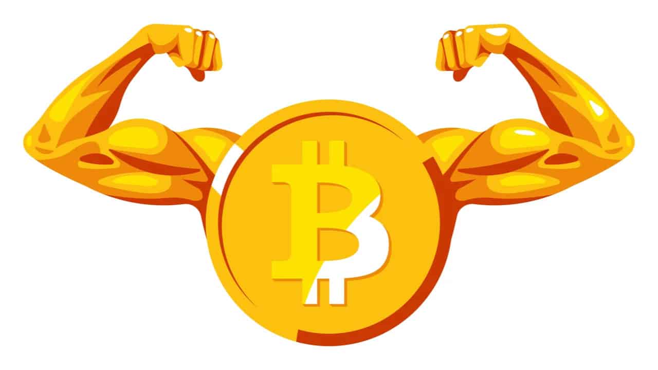 Bitcoin Dominance