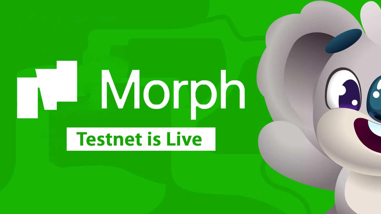 Morph Testnet