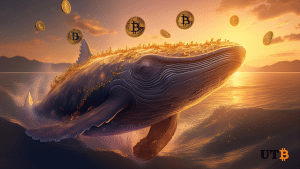 How Do Crypto Whales Stay Anonymous?
