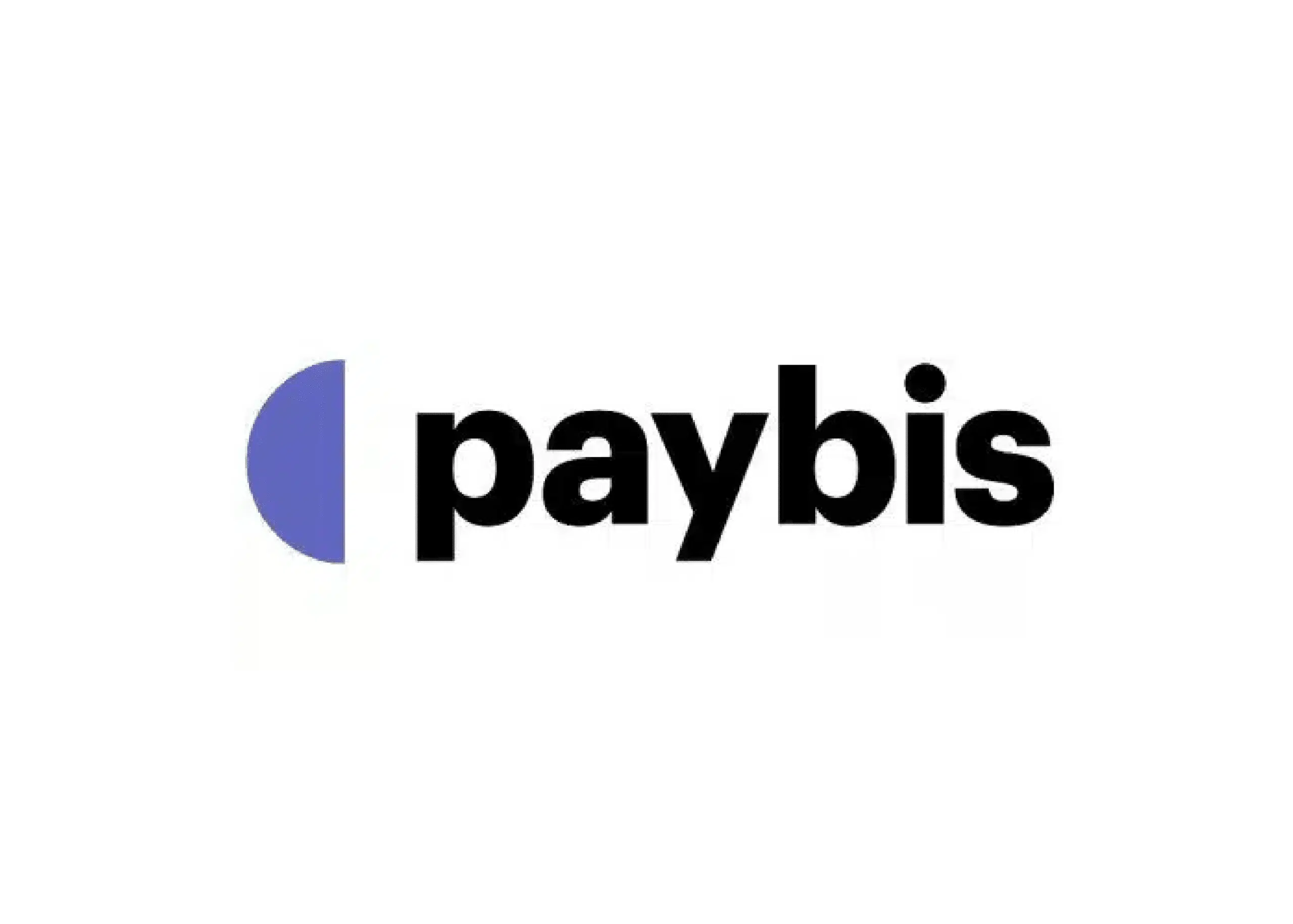 Paybis 01.png