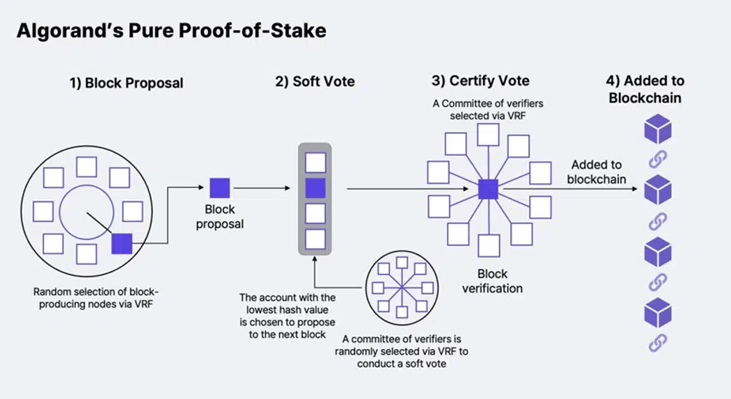 What Is Algorand (ALGO)? All You Need To Know 2 https://usethebitcoin.com/wp-content/uploads/2024/05/Algorand-ALGO.png UseTheBitcoin image 78