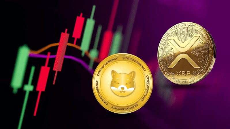 shiba xrp