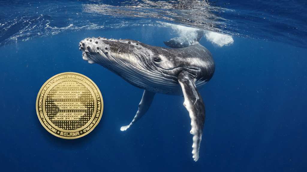 crypto whale