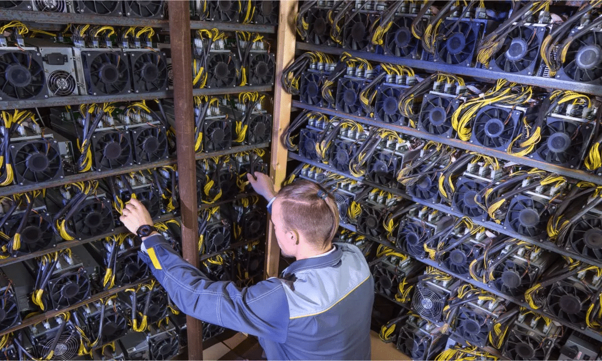 10 Reasons Why You Should Buy Bitcoin 9 https://usethebitcoin.com/wp-content/uploads/2024/10/1.jpg UseTheBitcoin image 8