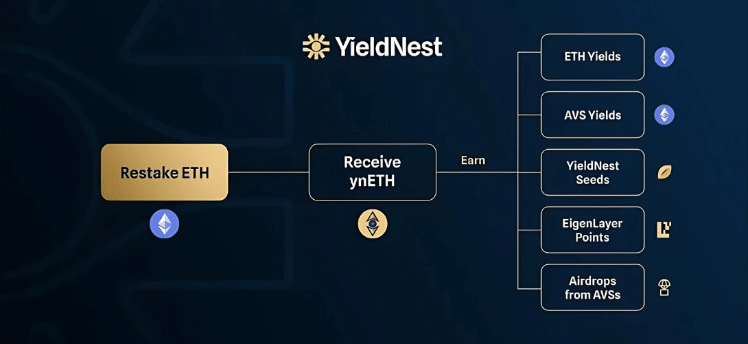 UTB Exclusive: An Interview With Amadeo Brands, Co-Founder Of YieldNest 6 https://usethebitcoin.com/wp-content/uploads/2025/02/image-7.jpeg UseTheBitcoin image 187
