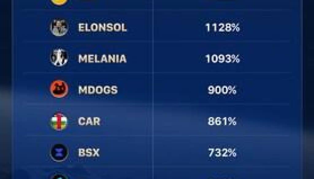 3 1741861204wXNeYvUfpI