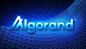 Algorand Nodes Leap by 250% – How To Earn On Algorand Node