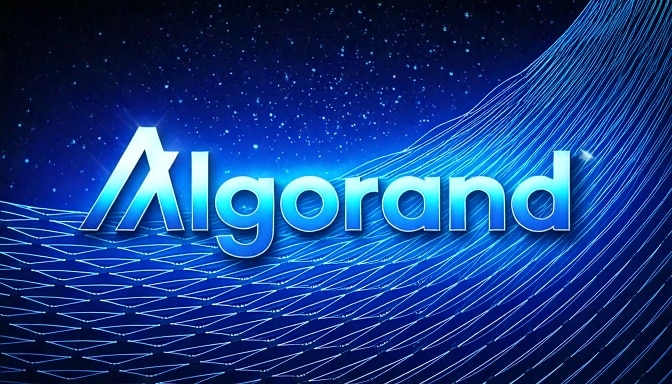 Algorand node