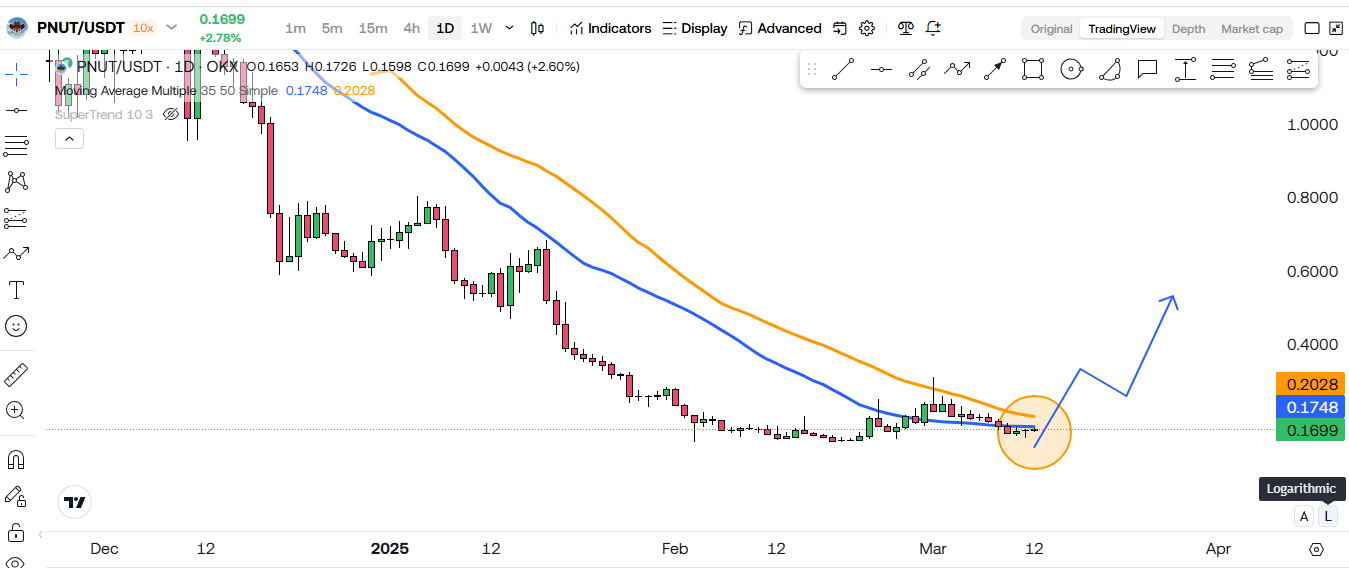PNUT’s STRONGEST Signal In Months – Next Big Crypto Play? 3 https://usethebitcoin.com/wp-content/uploads/2025/03/PNUT.jpg UseTheBitcoin image 92
