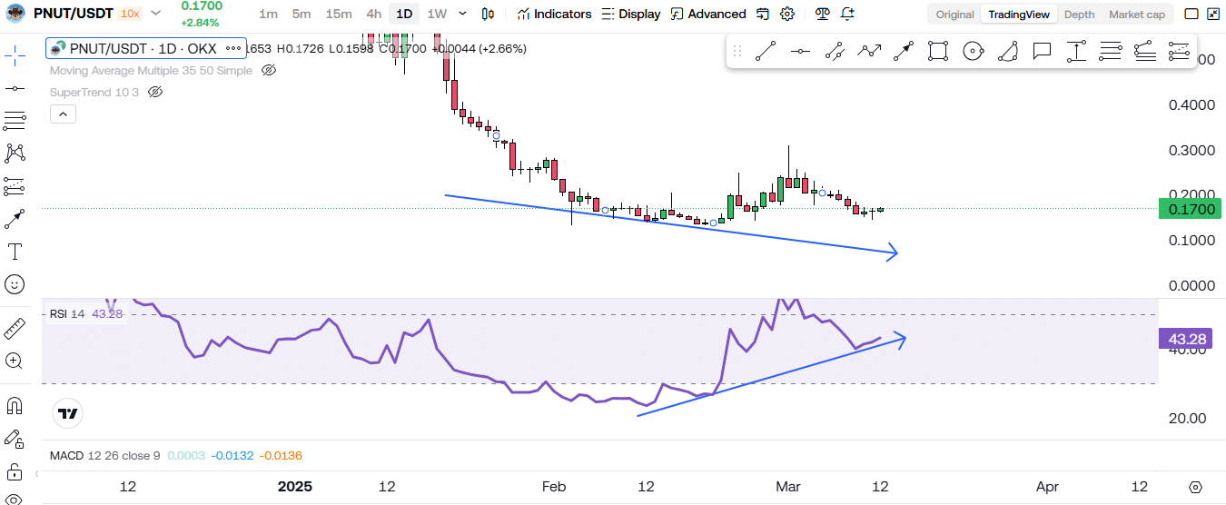 PNUT’s STRONGEST Signal In Months – Next Big Crypto Play? 2 https://usethebitcoin.com/wp-content/uploads/2025/03/PNUT.jpg UseTheBitcoin image 93