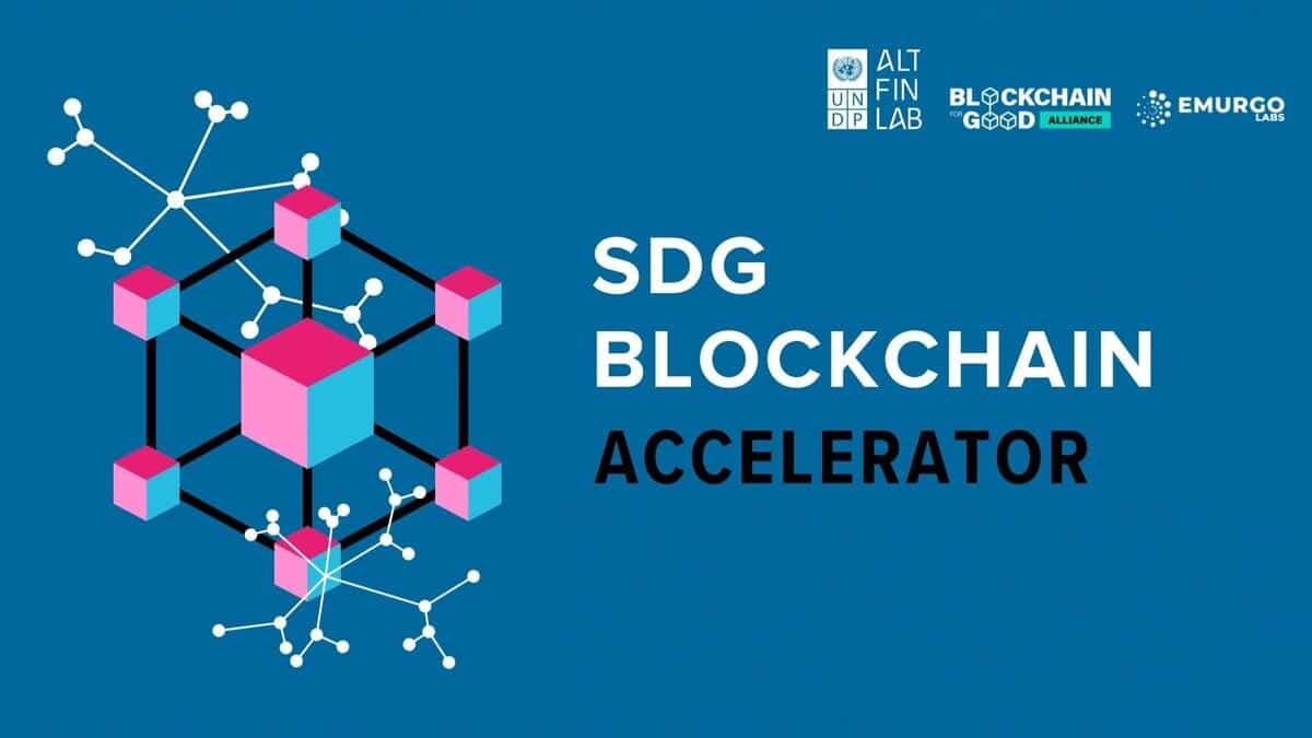 Blockchain for Good Alliance Launches Global Accelerator and Fund with UNDP | UseTheBitcoin