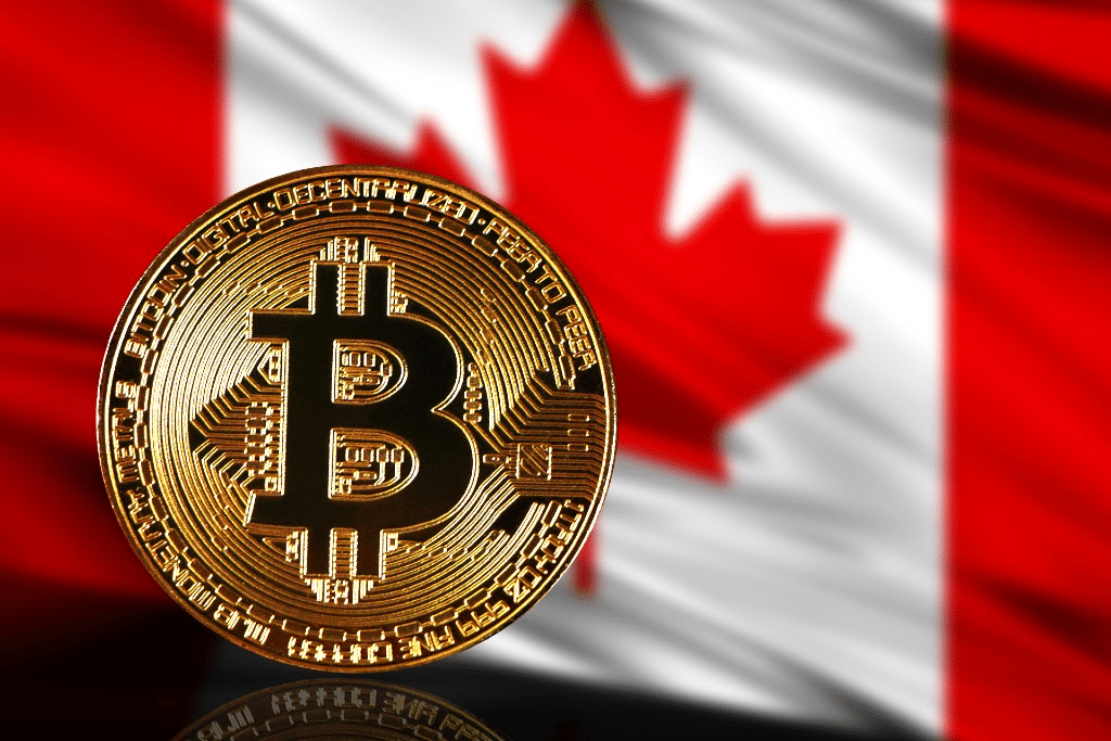 The Best Exchanges To Buy And Sell Cryptocurrencies In Your Country 4 https://usethebitcoin.com/wp-content/uploads/2025/04/Buy-Bitcoin.png UseTheBitcoin image 47