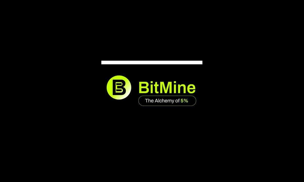 BitMine Immersion (BMNR) Announces Pricing of 5.24MM Registered Direct Offering At  per share | UseTheBitcoin