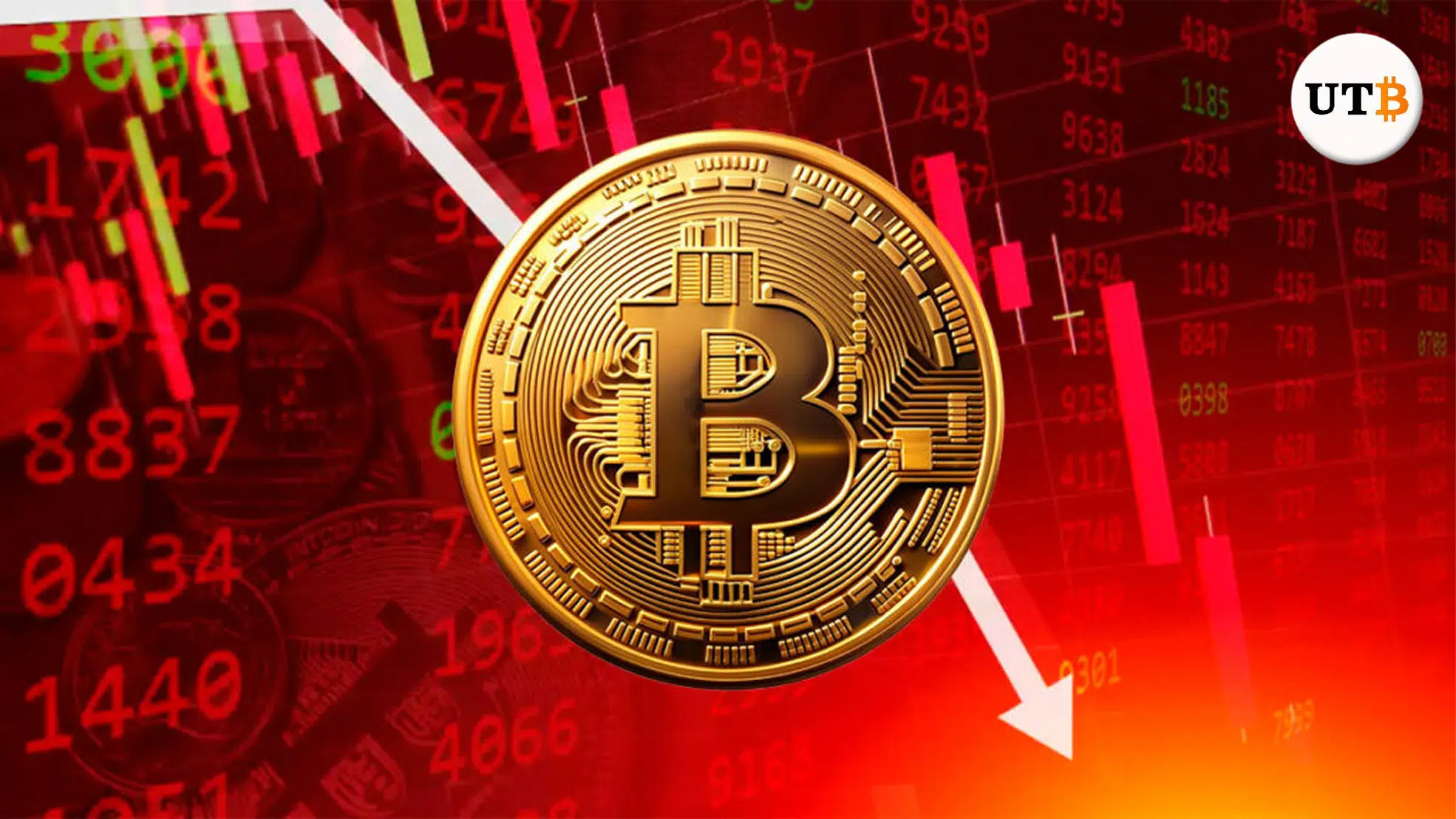 BTC and Crypto Market Crashes to $116k – Is it Over for BTC?