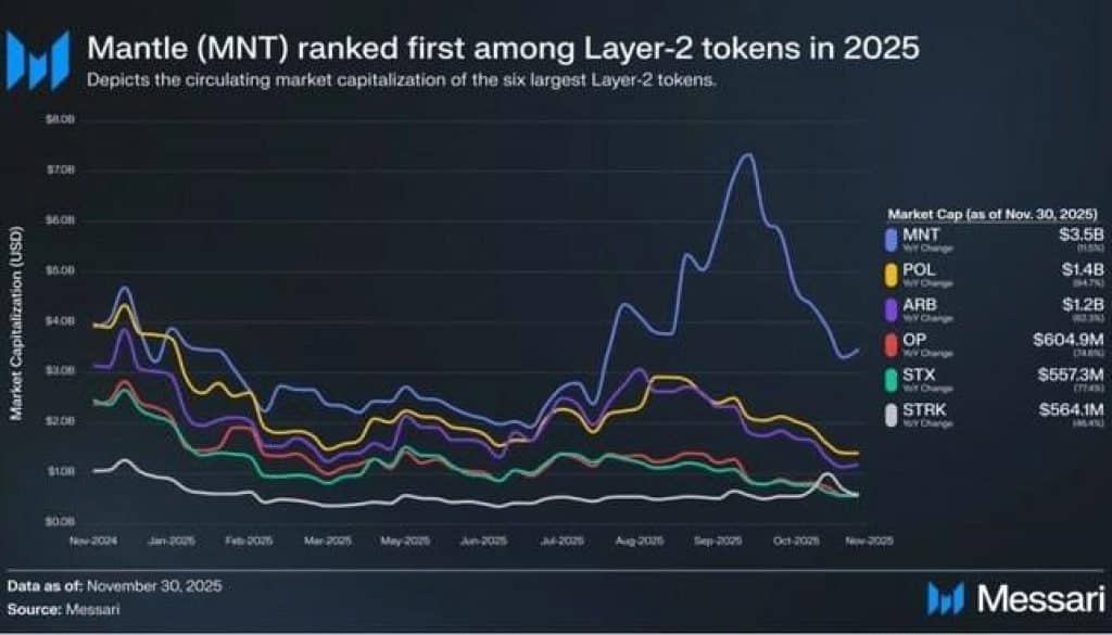 Mantle Distribution Layer Onchain Finance Position 1766578206mbl71N5spn