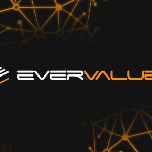 EverValue Announces Burn Vault Boost Upgrade to Its On-Chain Backing Mechanism