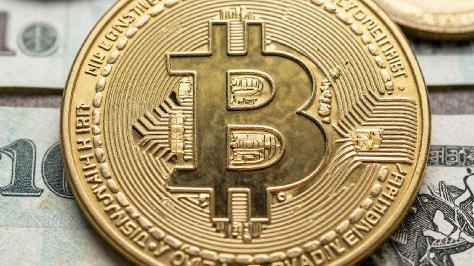 companies offer crypto remittance