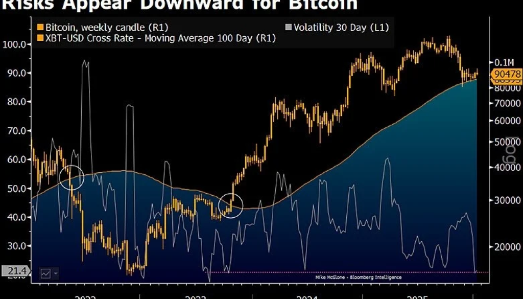 Public Bitcoin Treasury