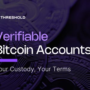 Verifiable Bitcoin Accounts for Institutional Bitcoin. Your Custody, Your Terms.