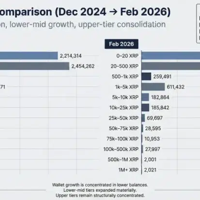 XRP Rich List: Who Holds the Most and What It Signals