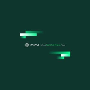 Mantle Addresses Network Security and Coordinates Recovery With Aave After rsETH Incident