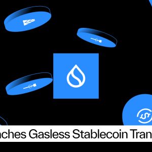 Sui Launches Gasless Stablecoin Transfers With Support From Fireblocks